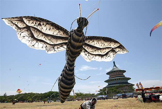 Cerf‑volant en forme d’insecte lors d’un concours sur l’île de Java