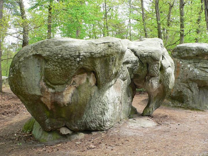 Éléphant de pierre, sculpté par la nature