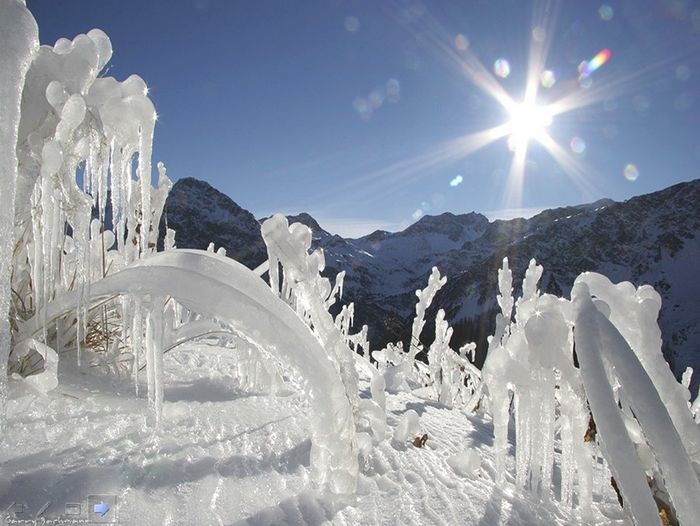 Arceaux de glace en haute montagne, au soleil couchant